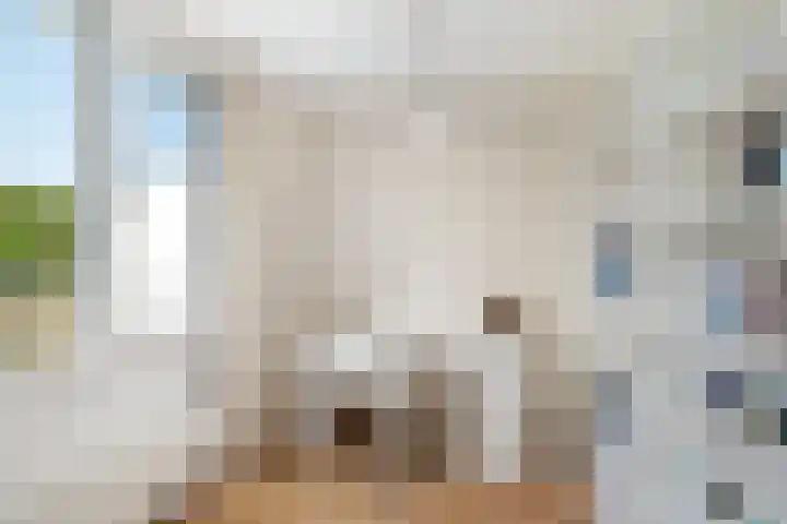 Paganinistraat 111 Capelle aan den IJssel thumbnail 20
