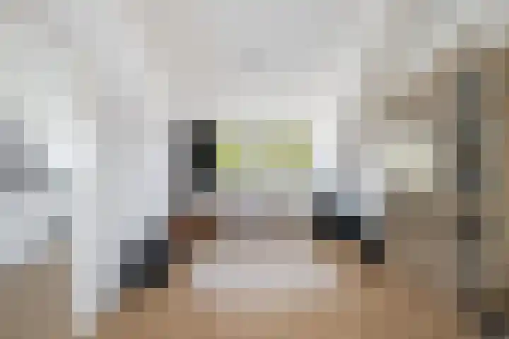 Paganinistraat 111 Capelle aan den IJssel thumbnail 25