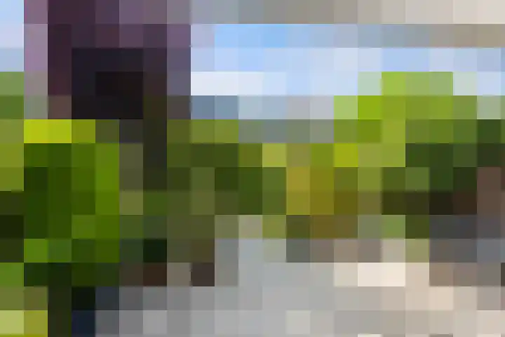 Paganinistraat 111 Capelle aan den IJssel thumbnail 30