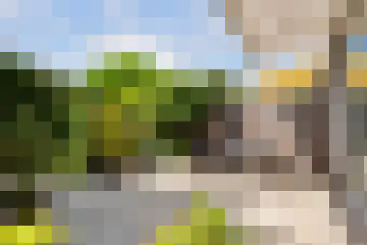 Paganinistraat 111 Capelle aan den IJssel thumbnail 31