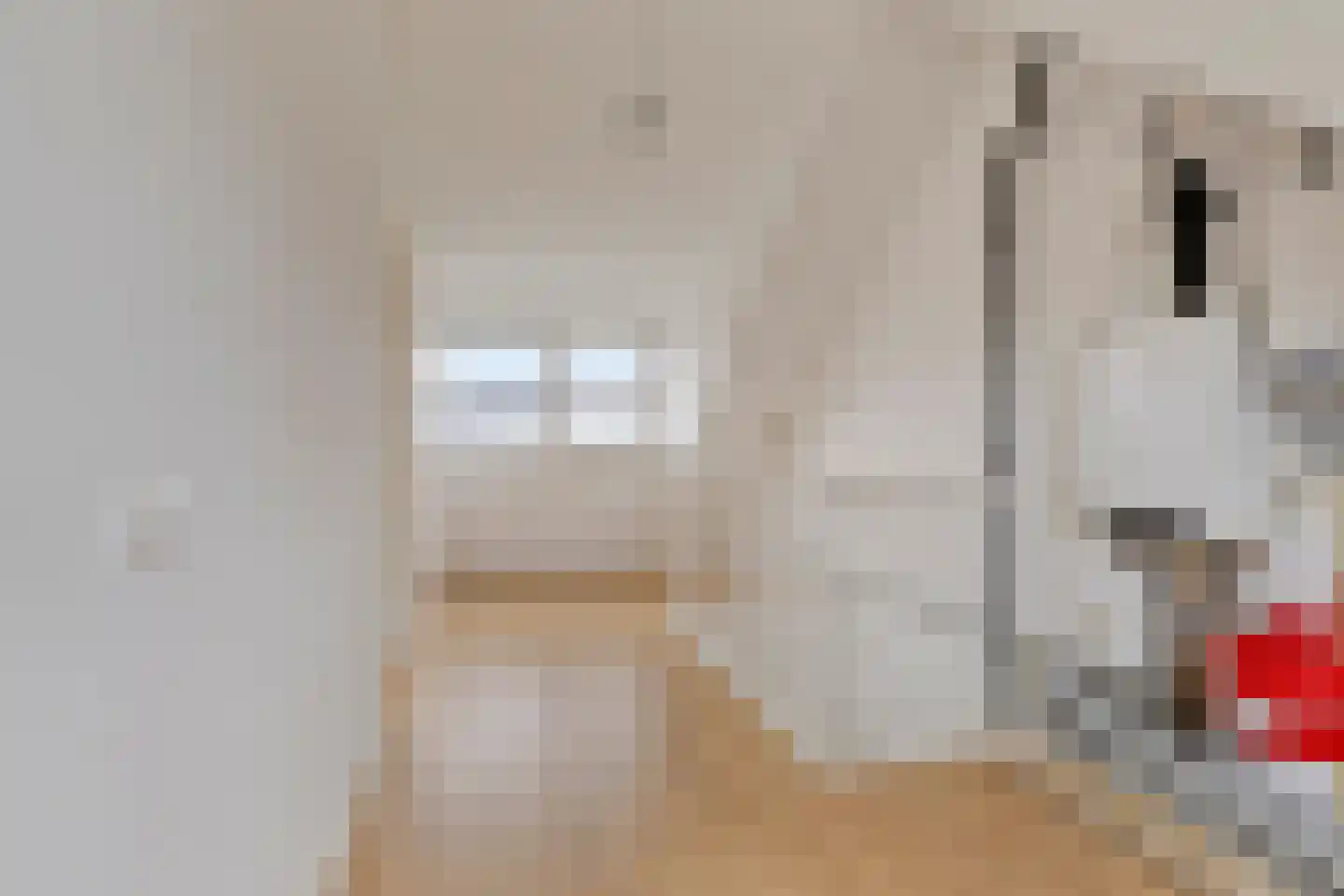 Paganinistraat 111 Capelle aan den IJssel thumbnail 32