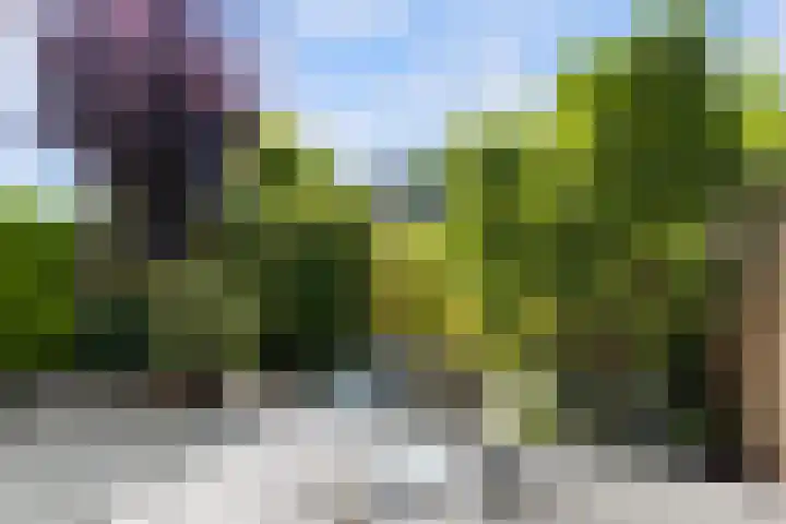 Paganinistraat 111 Capelle aan den IJssel thumbnail 32