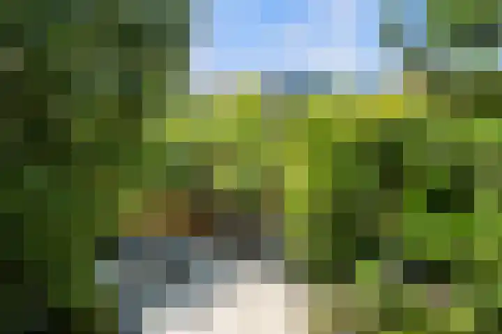 Paganinistraat 111 Capelle aan den IJssel thumbnail 33