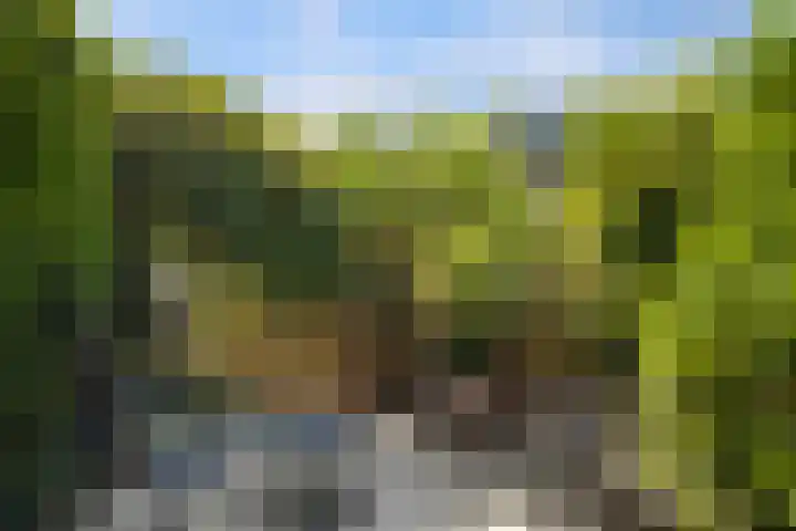 Paganinistraat 111 Capelle aan den IJssel thumbnail 34
