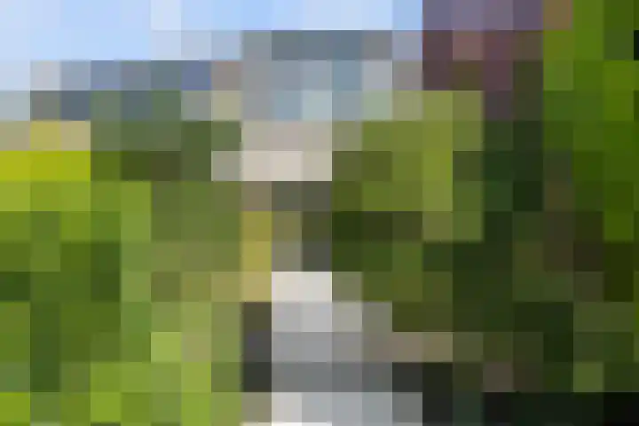 Paganinistraat 111 Capelle aan den IJssel thumbnail 35