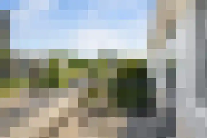 Paganinistraat 111 Capelle aan den IJssel thumbnail 37