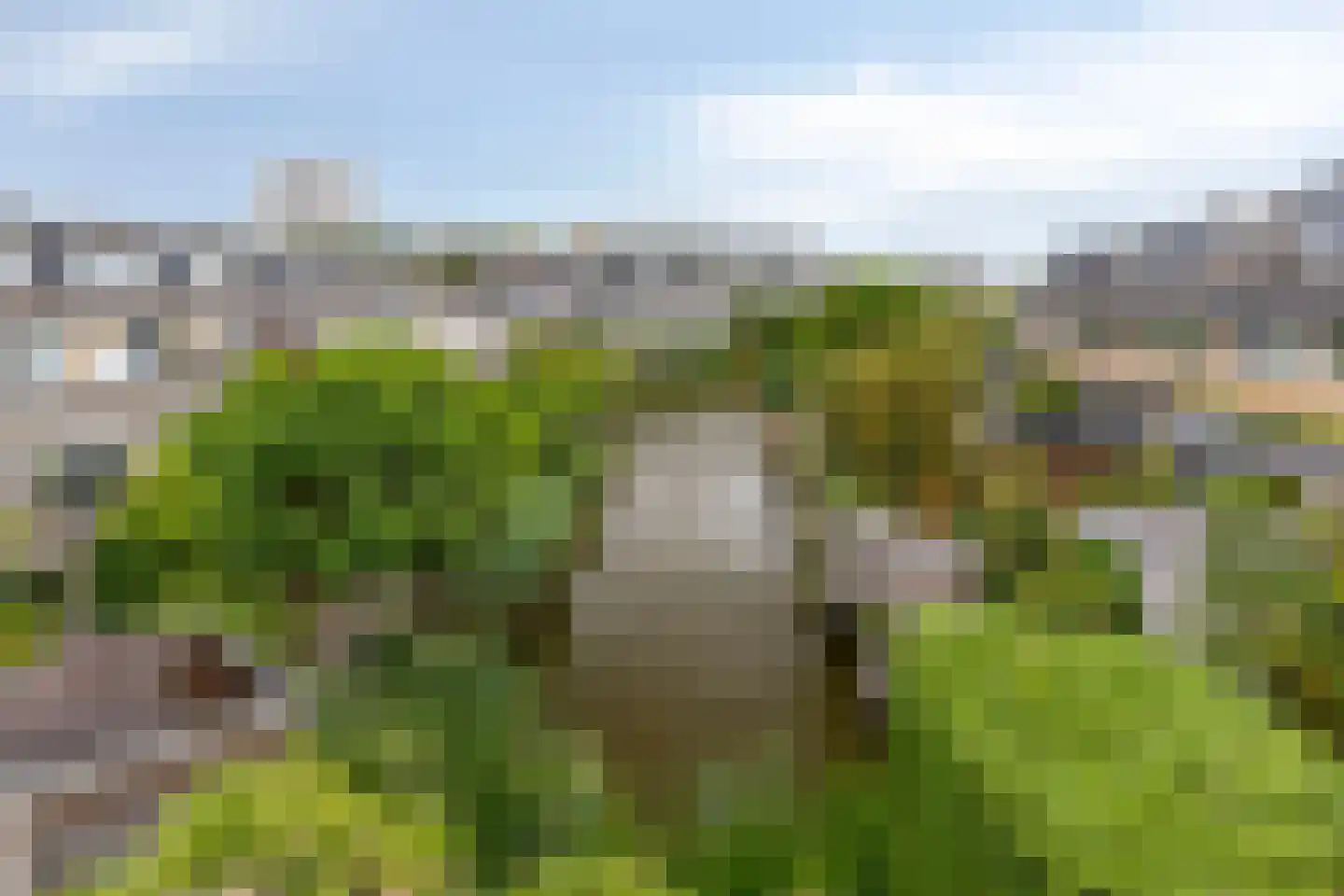 Paganinistraat 111 Capelle aan den IJssel thumbnail 39