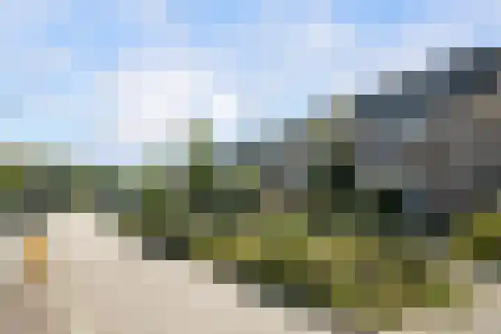 Paganinistraat 111 Capelle aan den IJssel thumbnail 4