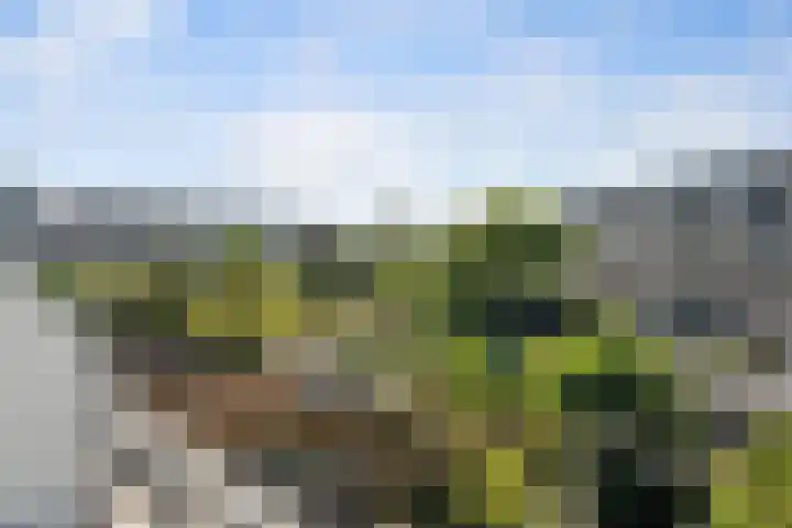 Paganinistraat 111 Capelle aan den IJssel thumbnail 40