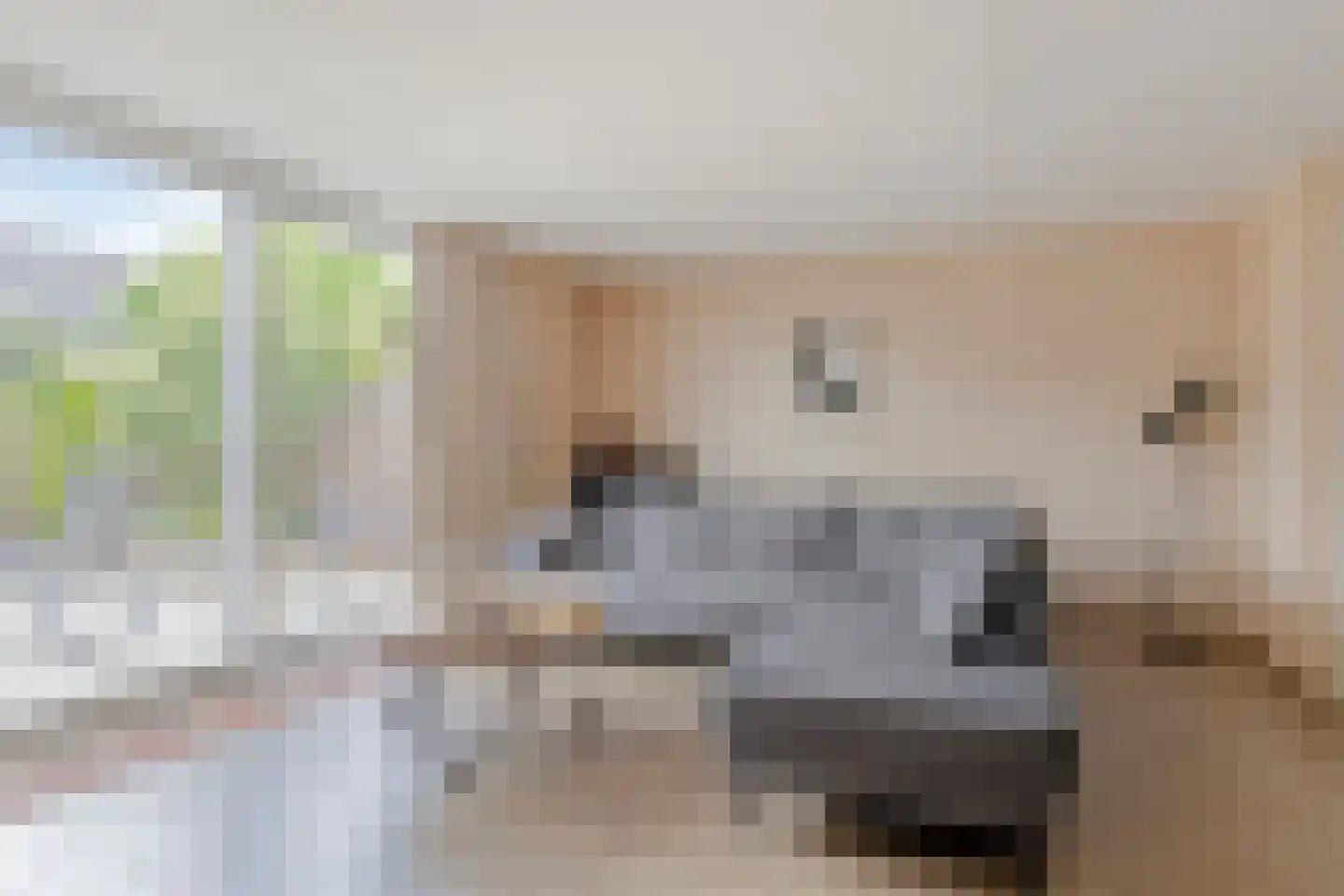 Paganinistraat 111 Capelle aan den IJssel thumbnail 8