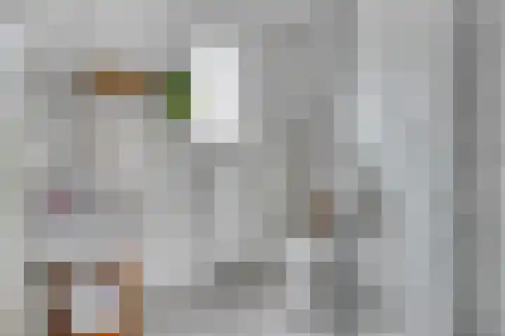 Paganinistraat 12 Hulst thumbnail 20