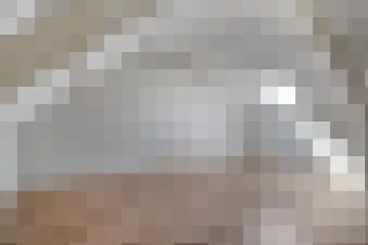Paganinistraat 12 Hulst thumbnail 21