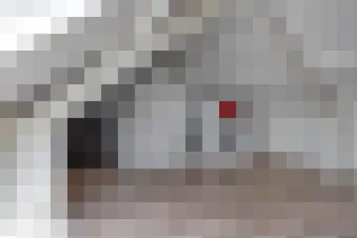 Paganinistraat 12 Hulst thumbnail 22