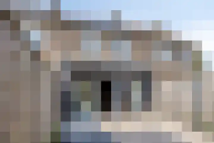 Paganinistraat 12 Hulst thumbnail 25
