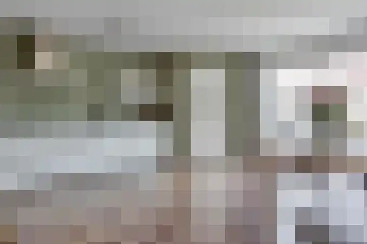Paganinistraat 12 Hulst thumbnail 4