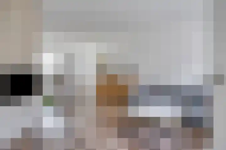Paganinistraat 12 Hulst thumbnail 7