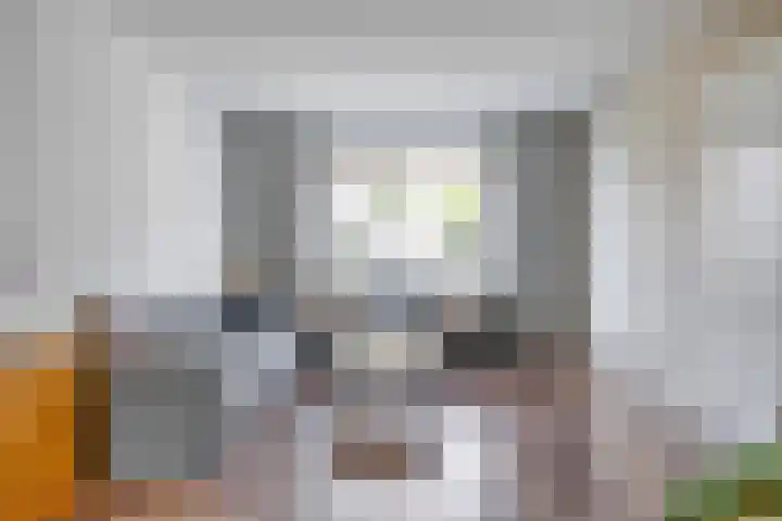 Paganinistraat 12 Hulst thumbnail 8