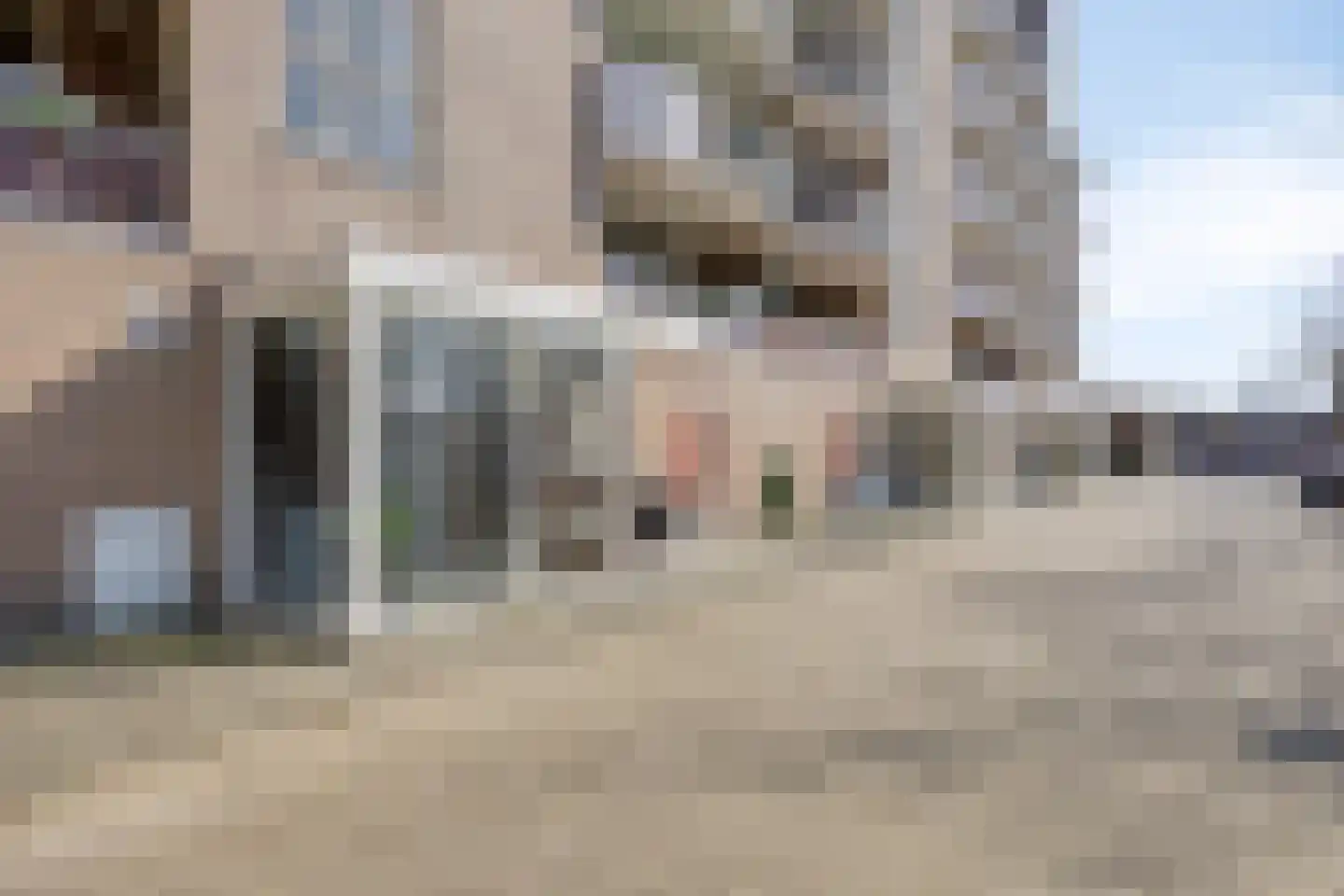 Paganinistraat 13 Oss thumbnail 22