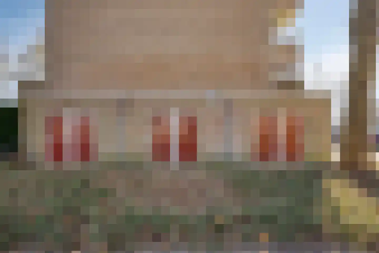 Paganinistraat 13 Oss thumbnail 24