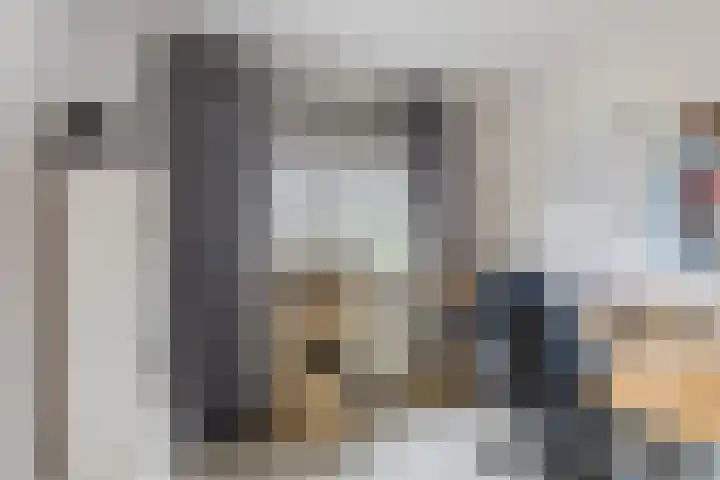 Paganinistraat 14 Waalwijk thumbnail 14