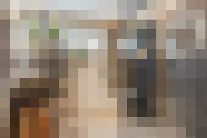 Paganinistraat 14 Waalwijk thumbnail 17