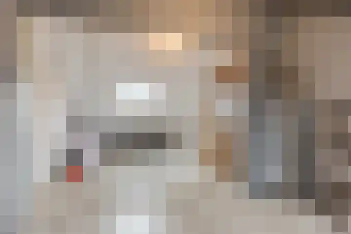 Paganinistraat 14 Waalwijk thumbnail 25