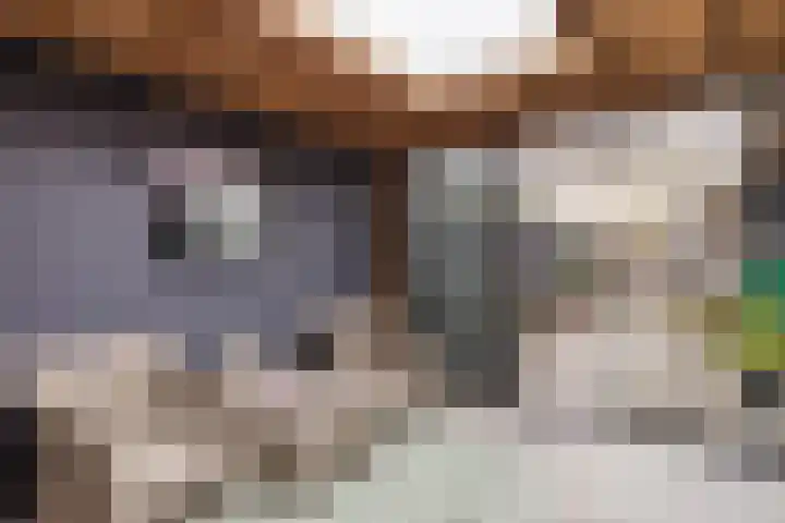 Paganinistraat 14 Waalwijk thumbnail 26