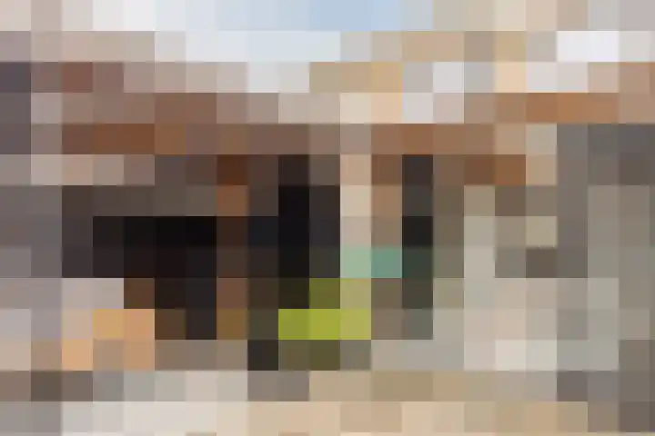 Paganinistraat 14 Waalwijk thumbnail 30