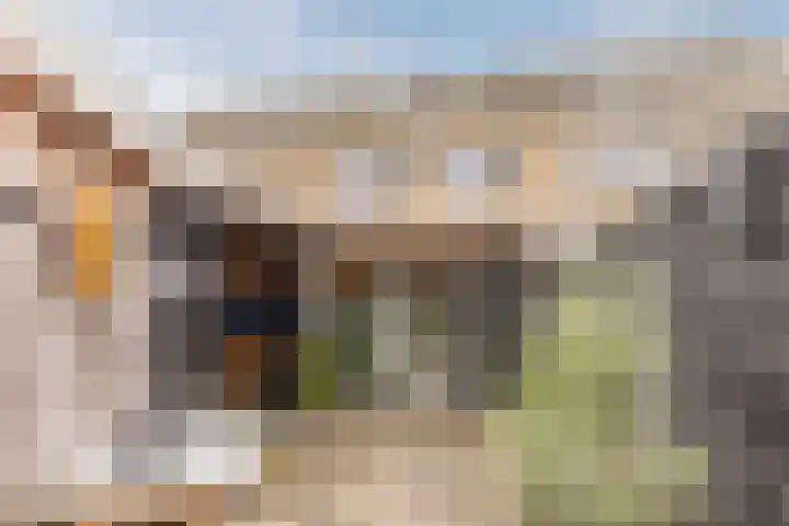 Paganinistraat 14 Waalwijk thumbnail 31