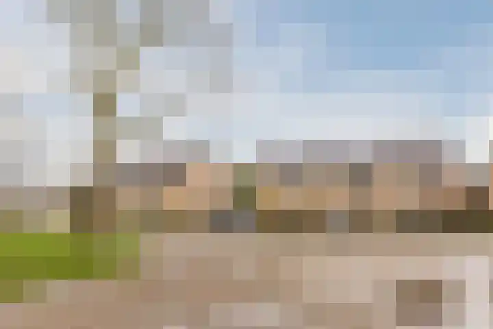 Paganinistraat 14 Waalwijk thumbnail 34