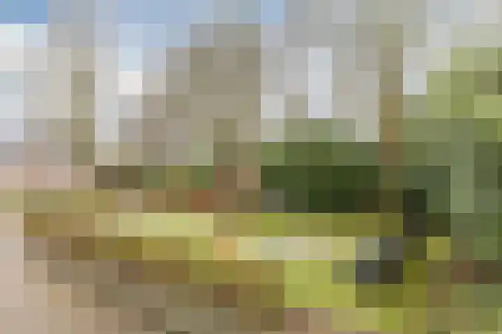 Paganinistraat 14 Waalwijk thumbnail 37