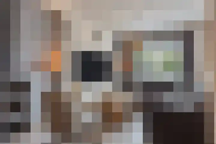 Paganinistraat 14 Waalwijk thumbnail 5