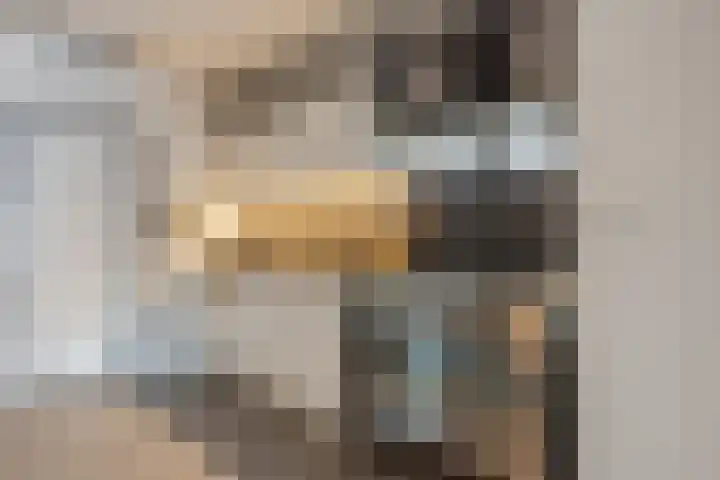 Paganinistraat 14 Waalwijk thumbnail 7