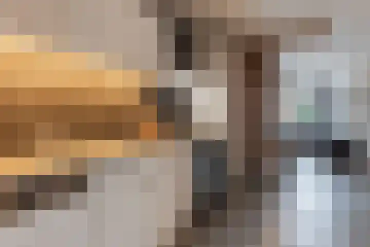 Paganinistraat 14 Waalwijk thumbnail 8