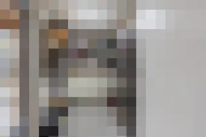 Paganinistraat 14 Waalwijk thumbnail 9