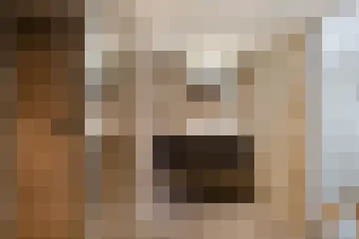 Paganinistraat 15 Lichtenvoorde thumbnail 23