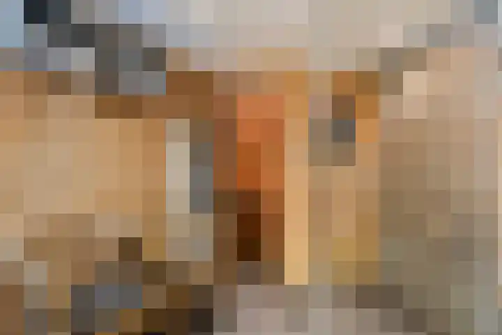Paganinistraat 15 Lichtenvoorde thumbnail 24