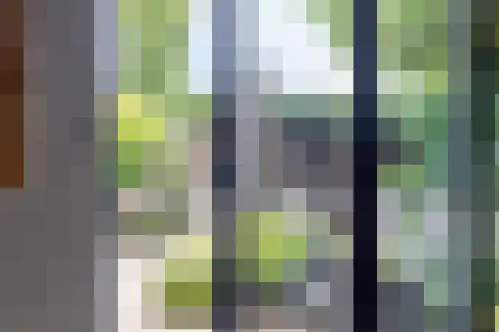 Paganinistraat 15 Lichtenvoorde thumbnail 27