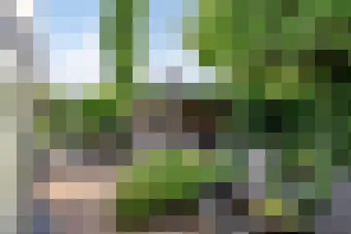 Paganinistraat 15 Lichtenvoorde thumbnail 28