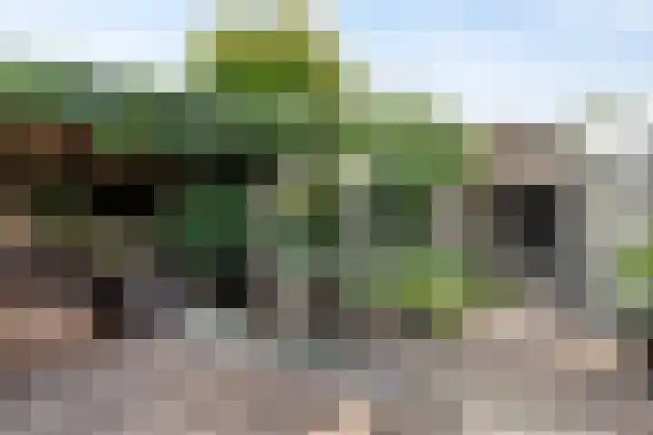 Paganinistraat 15 Lichtenvoorde thumbnail 33