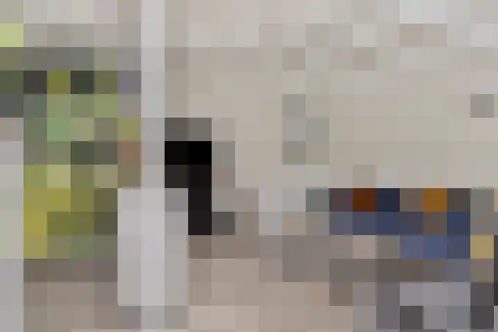 Paganinistraat 15 Lichtenvoorde thumbnail 5