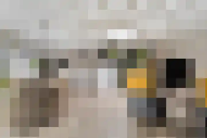 Paganinistraat 15 Lichtenvoorde thumbnail 7