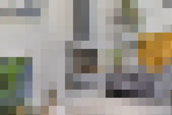 Paganinistraat 15 Lichtenvoorde thumbnail 8