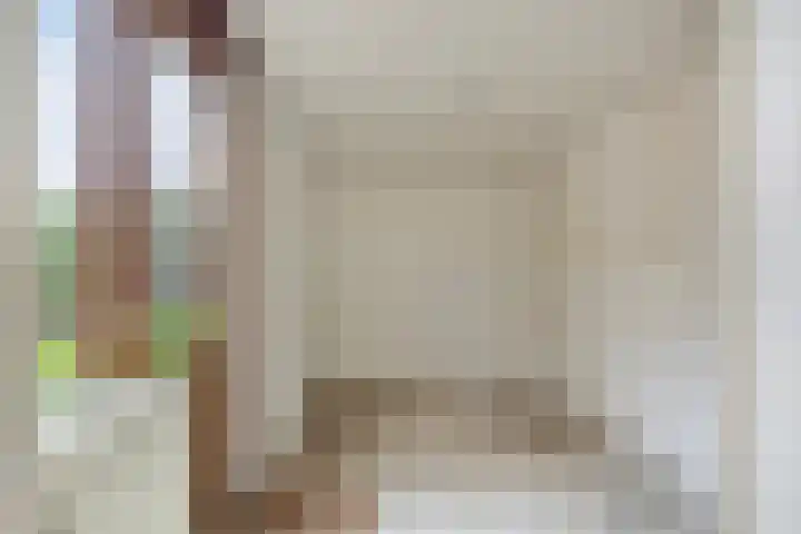 Paganinistraat 15 Waalwijk thumbnail 11