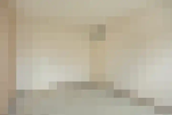 Paganinistraat 15 Waalwijk thumbnail 14