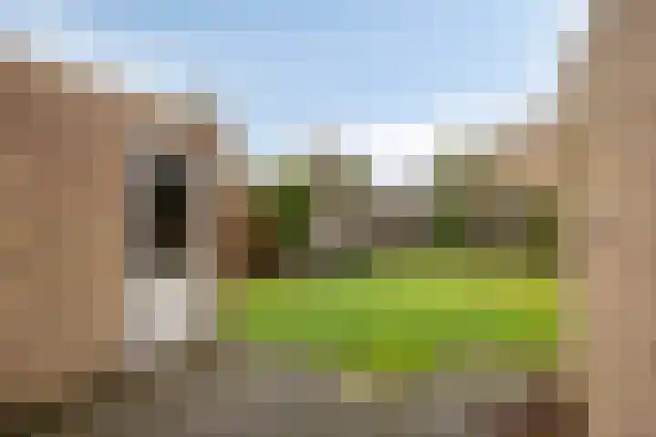 Paganinistraat 15 Waalwijk thumbnail 22