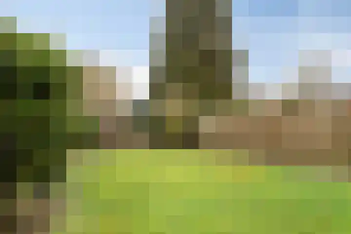 Paganinistraat 15 Waalwijk thumbnail 23