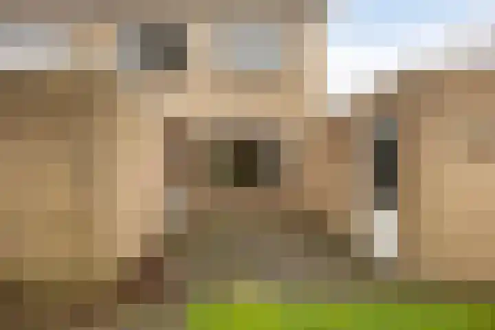 Paganinistraat 15 Waalwijk thumbnail 25