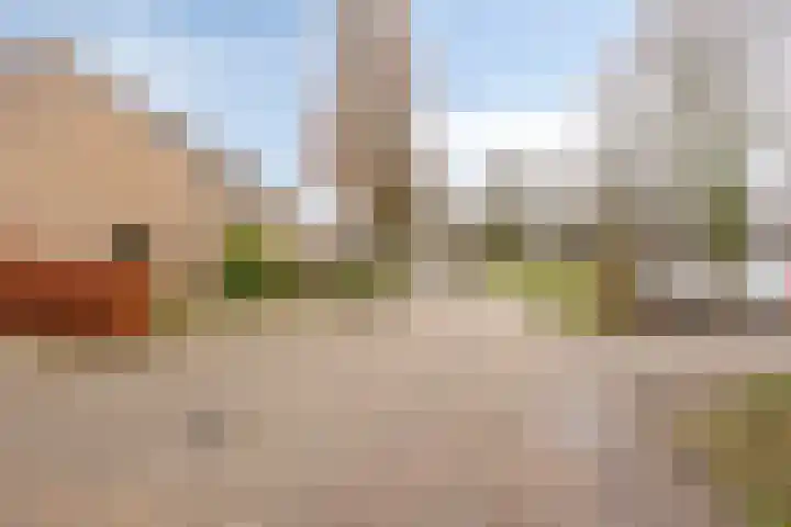 Paganinistraat 15 Waalwijk thumbnail 28