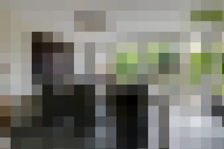 Paganinistraat 15 Zevenaar thumbnail 17